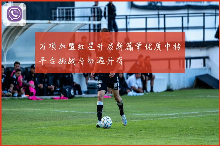 万项加盟红星开启新篇章优质中转平台挑战与机遇并存