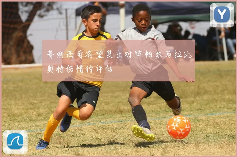 普利西奇有望复出对阵帕尔马拉比奥特伤情待评估