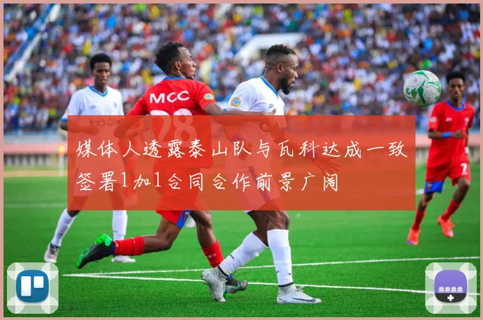 媒体人透露泰山队与瓦科达成一致签署1加1合同合作前景广阔