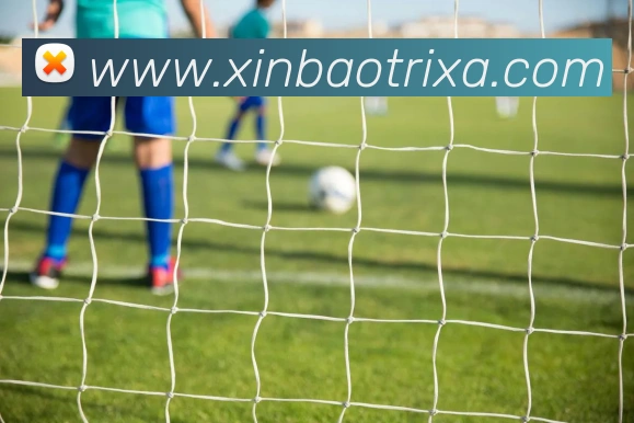 App Interface Preview