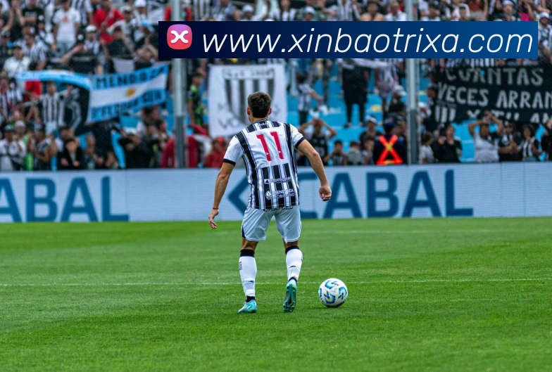 新宝体育APP 封面图